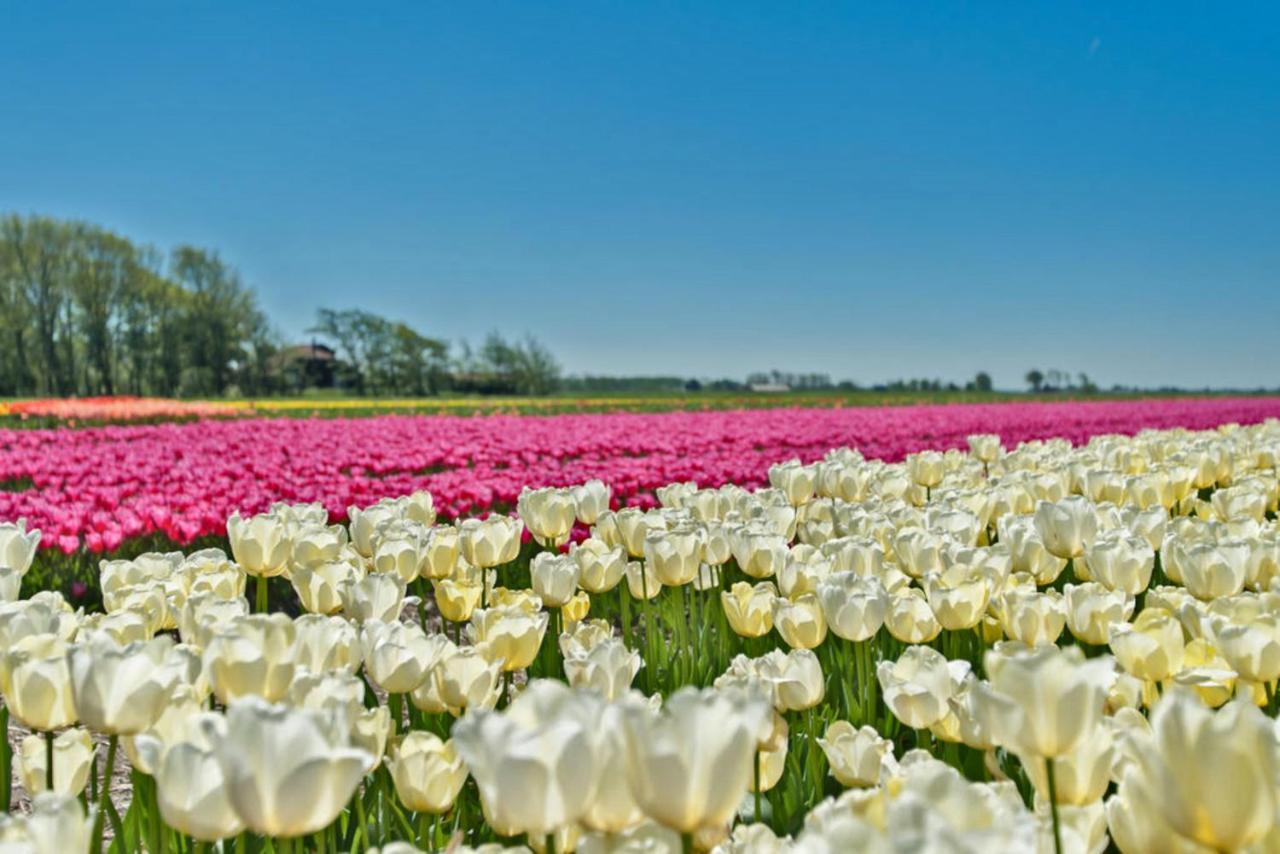 Villa Prinsenhof # Vijfentwintig แบร์เคน ภายนอก รูปภาพ